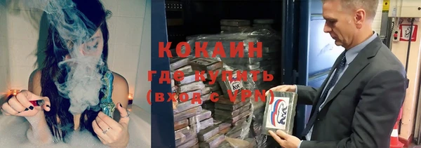 прущие грибы Аркадак