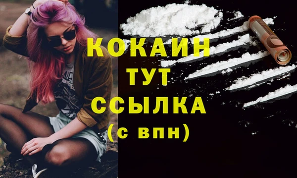 прущие грибы Аркадак