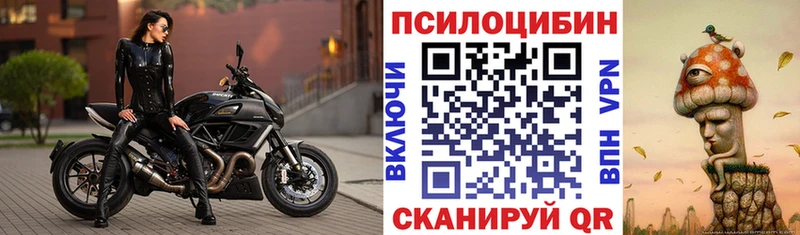 как найти закладки  Радужный  гидра как войти  Псилоцибиновые грибы мухоморы 