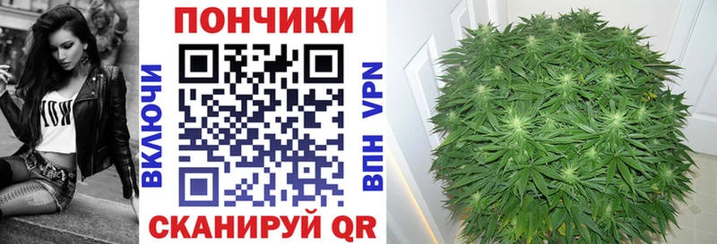 дарнет шоп Радужный Конопля MAZAR